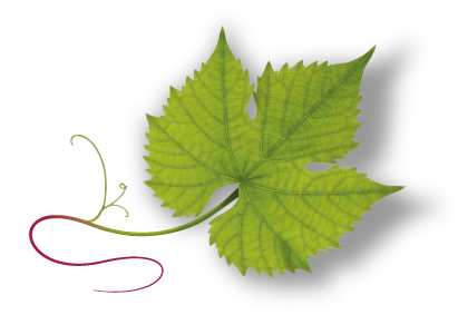 hoja-suelta